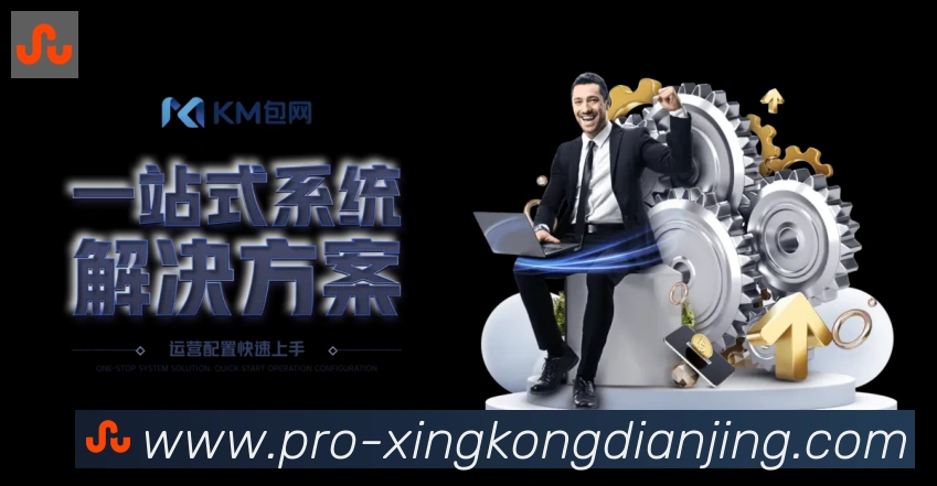 企业概况
